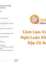 Cách Làm Các Dạng Bài Nghị Luận Xã Hội Thường Gặp Cô Sương Mai